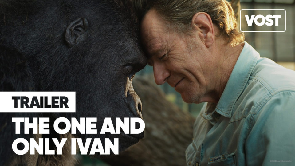 Trailers VOST | LE SEUL ET UNIQUE IVAN / THE ONE AND ONLY IVAN (2020) Bande-annonce VOST - Disney+ Trailers VOST | LE SEUL ET UNIQUE IVAN / THE ONE AND ONLY IVAN (2020) Bande-annonce VOST - Disney+