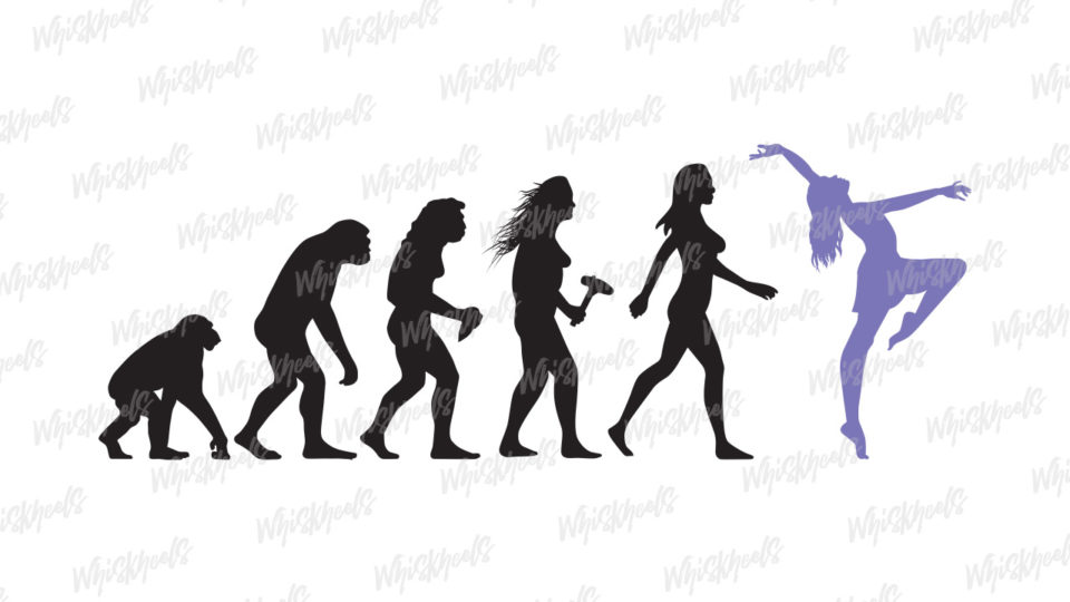Evolution : DANCE
