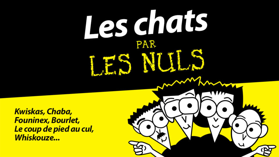 LES CHATS par Les Nuls | Nos Années Canal