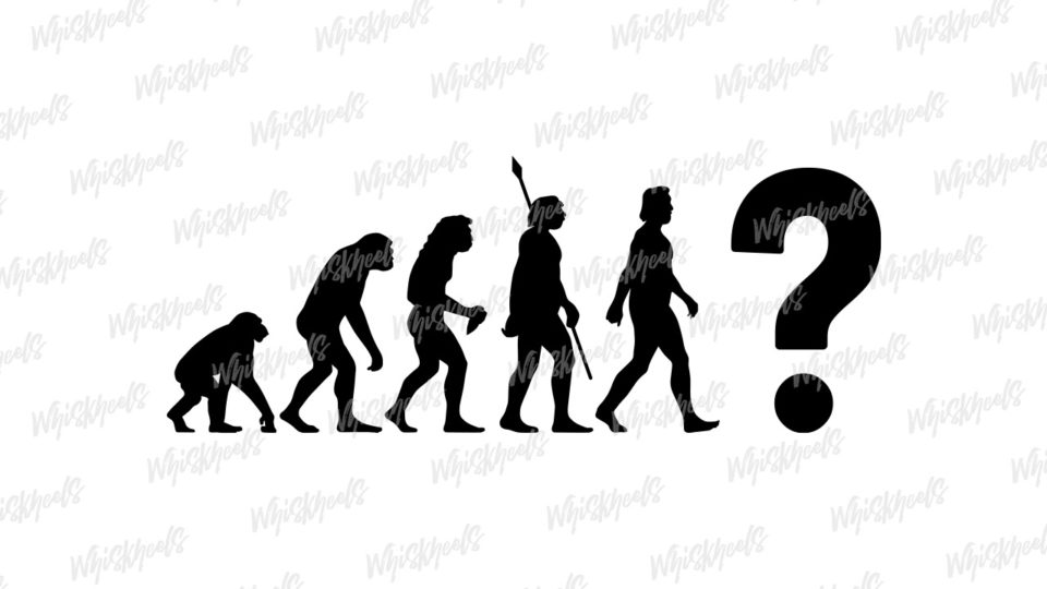 Illustration vectorielle THÉORIE DE L'ÉVOLUTION personnalisable Illustration vectorielle THÉORIE DE L'ÉVOLUTION personnalisable