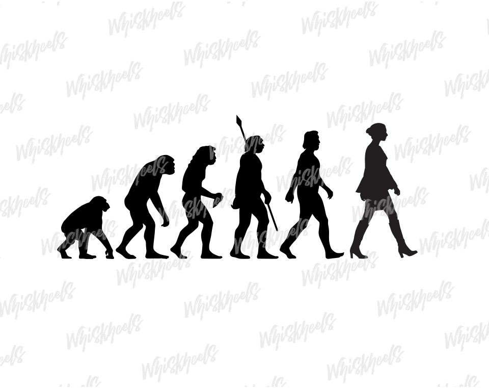 Illustration vectorielle THÉORIE DE L'ÉVOLUTION personnalisable