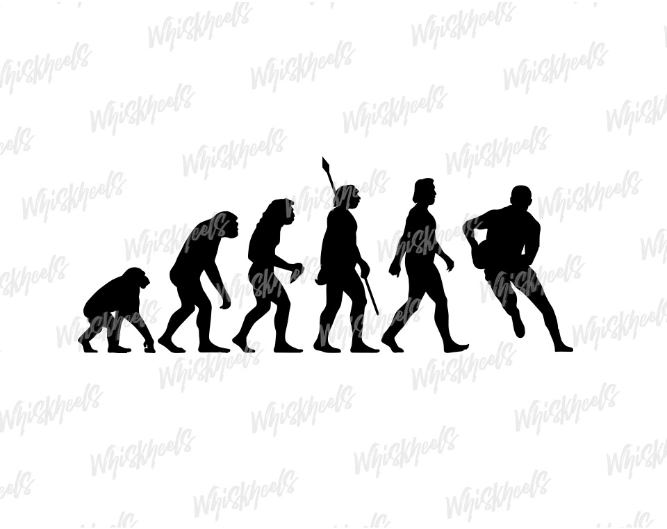 Illustration vectorielle THÉORIE DE L'ÉVOLUTION personnalisable